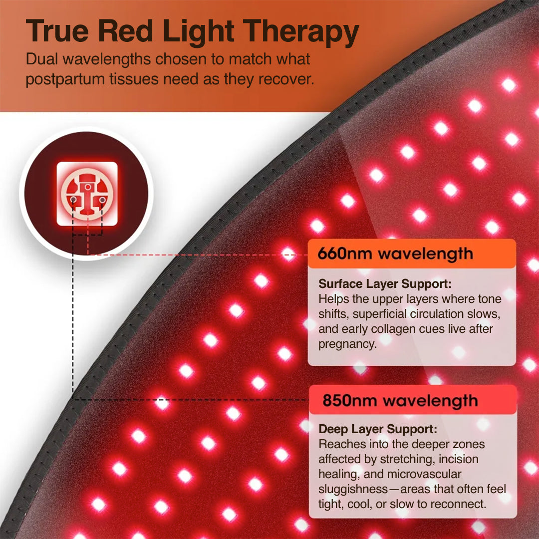 Dual-Wavelength Red Light Belt