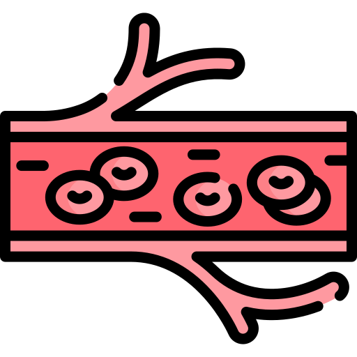 Boosts Circulation & Healing